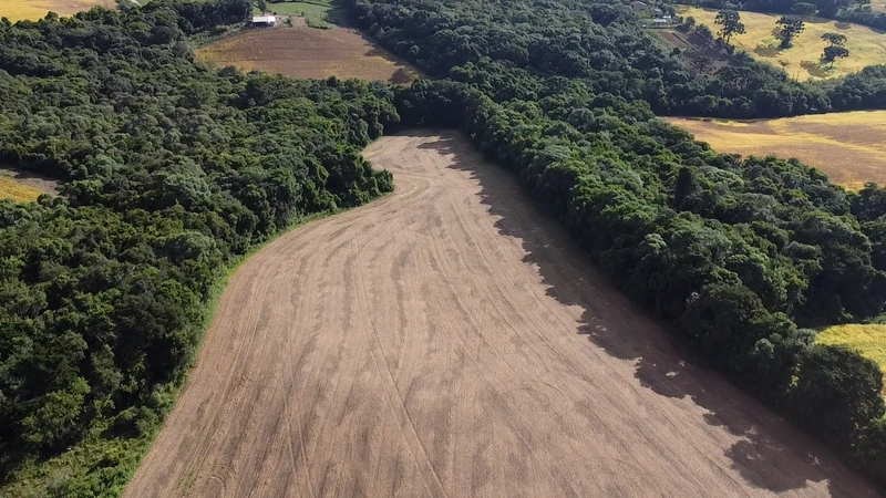 Lindo terreno na Colônia Campina: 5ª foto da galeria de imagens do imóvel
