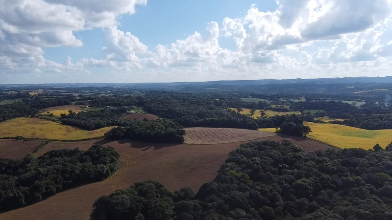 Lindo terreno na Colônia Campina: 25ª foto da galeria de imagens do imóvel