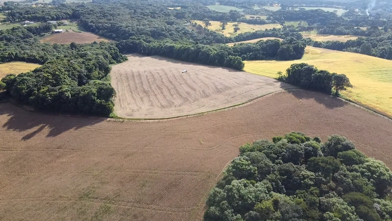 Lindo terreno na Colônia Campina: 3ª foto da galeria de imagens do imóvel
