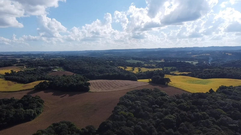 Lindo terreno na Colônia Campina: 26ª foto da galeria de imagens do imóvel