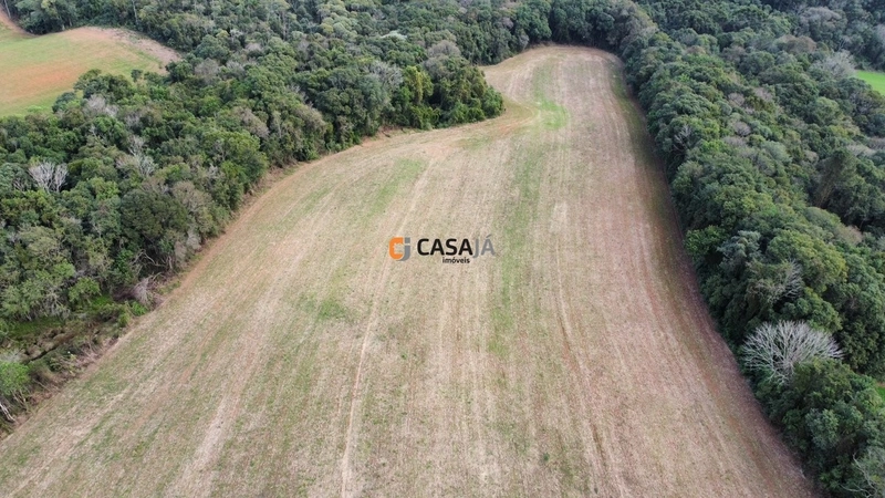 Lindo terreno na Colônia Campina: 1ª foto da galeria de imagens do imóvel