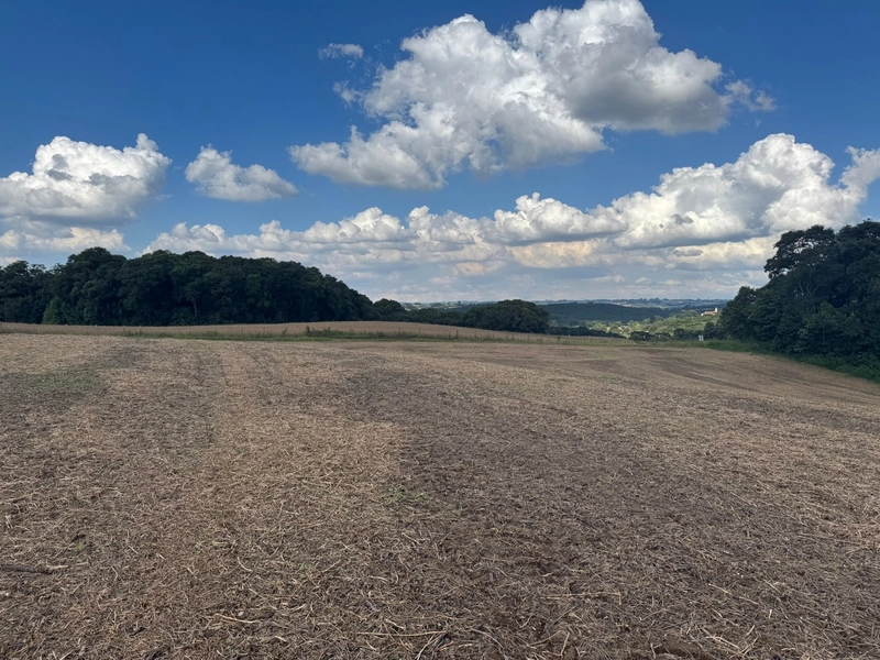Lindo terreno na Colônia Campina: 38ª foto da galeria de imagens do imóvel