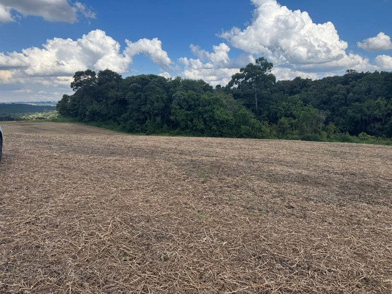 Lindo terreno na Colônia Campina: 36ª foto da galeria de imagens do imóvel