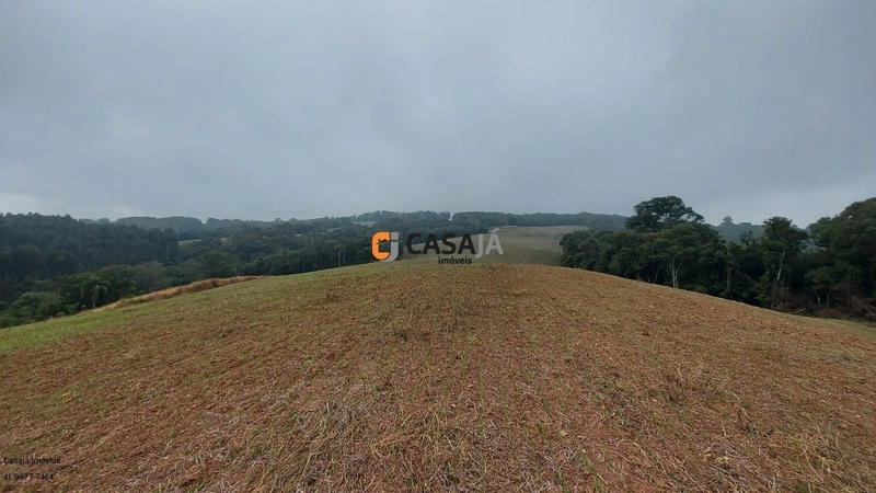 EXCELENTE CHÁCARA PARA PLANTIO, LINDA VISTA E ÁGUA.: 3ª foto da galeria de imagens do imóvel