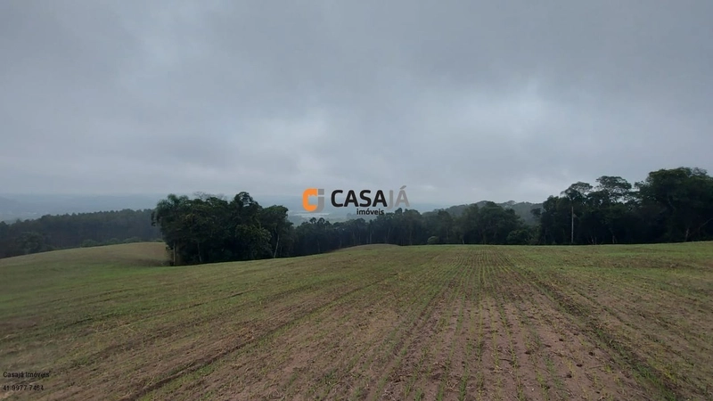 EXCELENTE CHÁCARA PARA PLANTIO, LINDA VISTA E ÁGUA.: 6ª foto da galeria de imagens do imóvel