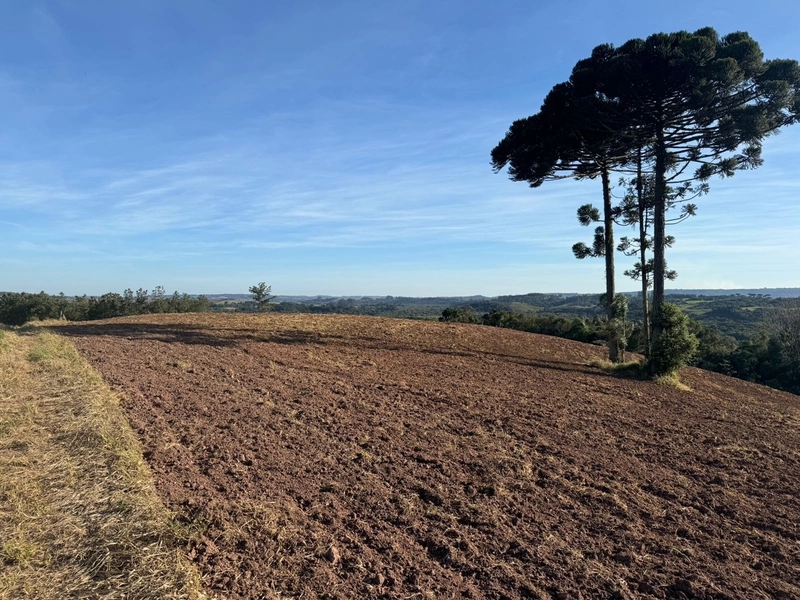 Lindas Chácaras no Rodeio Sto Antonio: 9ª foto da galeria de imagens do imóvel