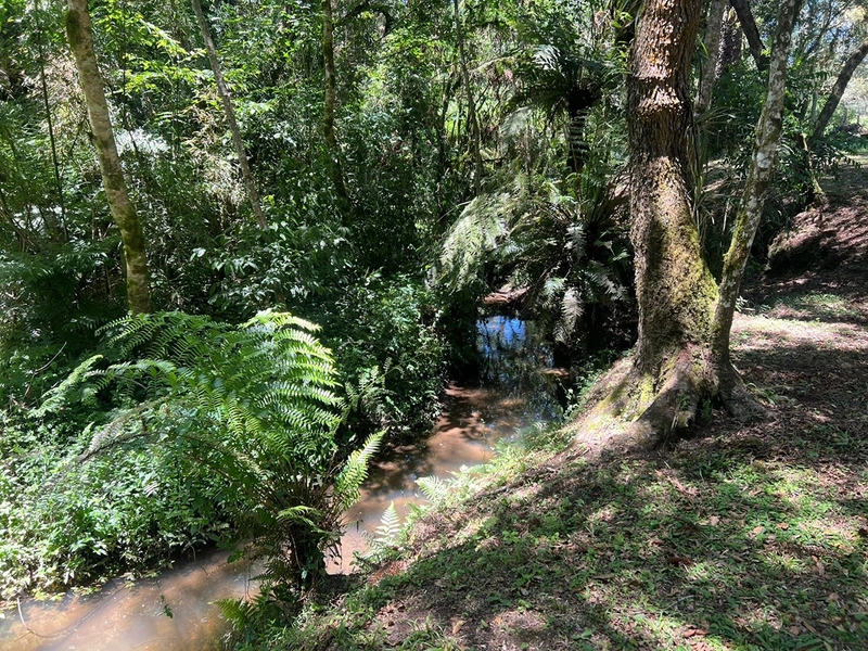 Refúgio perfeito com rio, tanques e natureza exuberante - venha conhecer!: 15ª foto da galeria de imagens do imóvel