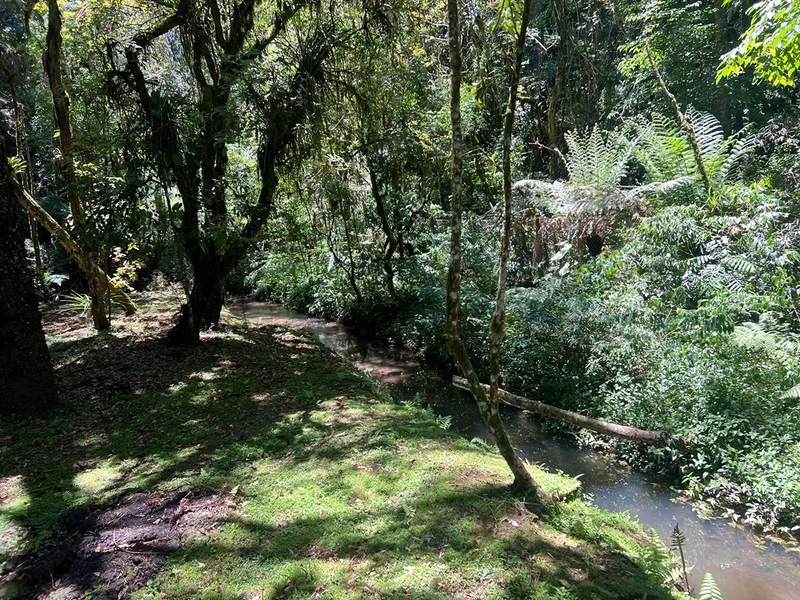 Refúgio perfeito com rio, tanques e natureza exuberante - venha conhecer!: 14ª foto da galeria de imagens do imóvel