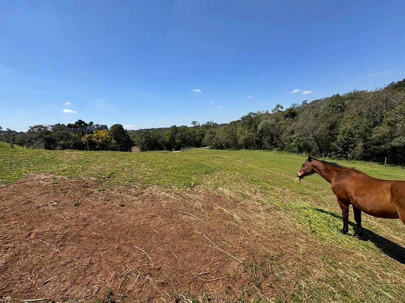 Chácara Formada na Colônia Campina Pertinho do Centro: 48ª foto da galeria de imagens do imóvel