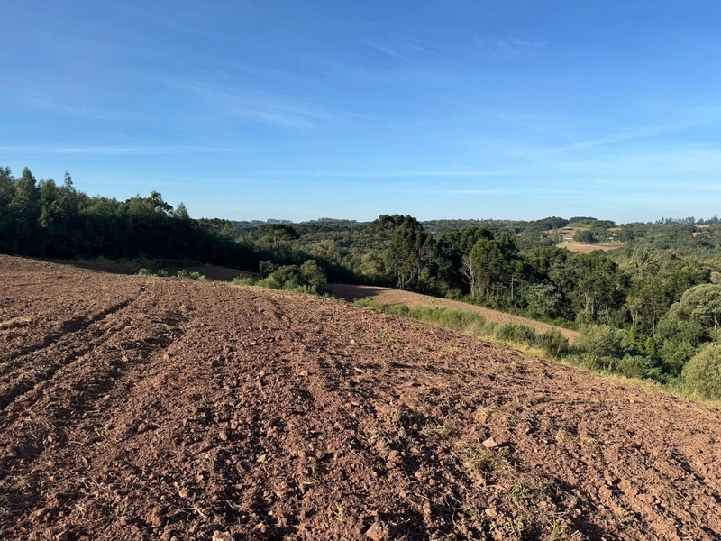 Terrenos para formação de Chácaras no Rodeio Sto Antonio: 18ª foto da galeria de imagens do imóvel