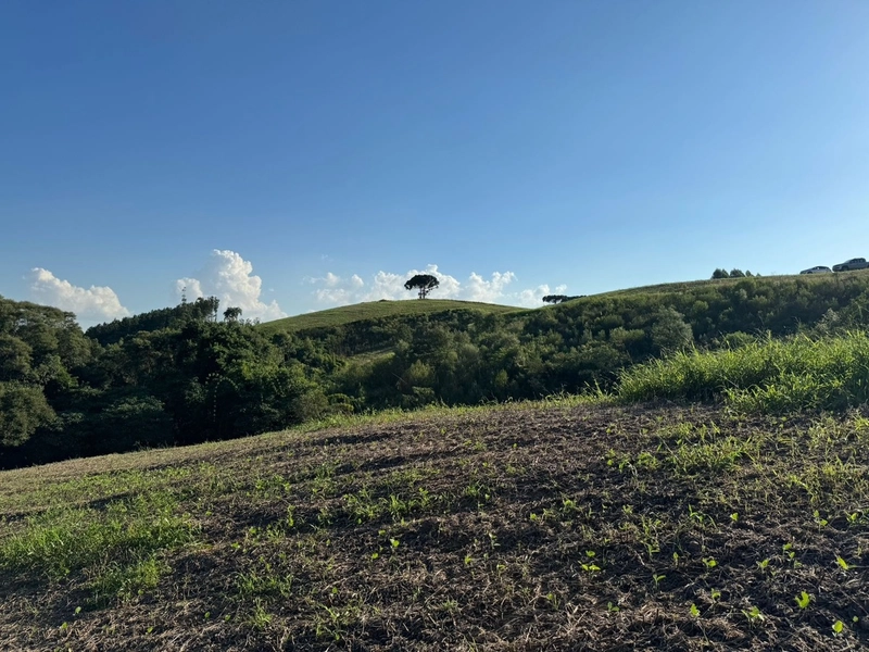 Terrenos para formação de Chácaras no Rodeio Sto Antonio: 7ª foto da galeria de imagens do imóvel