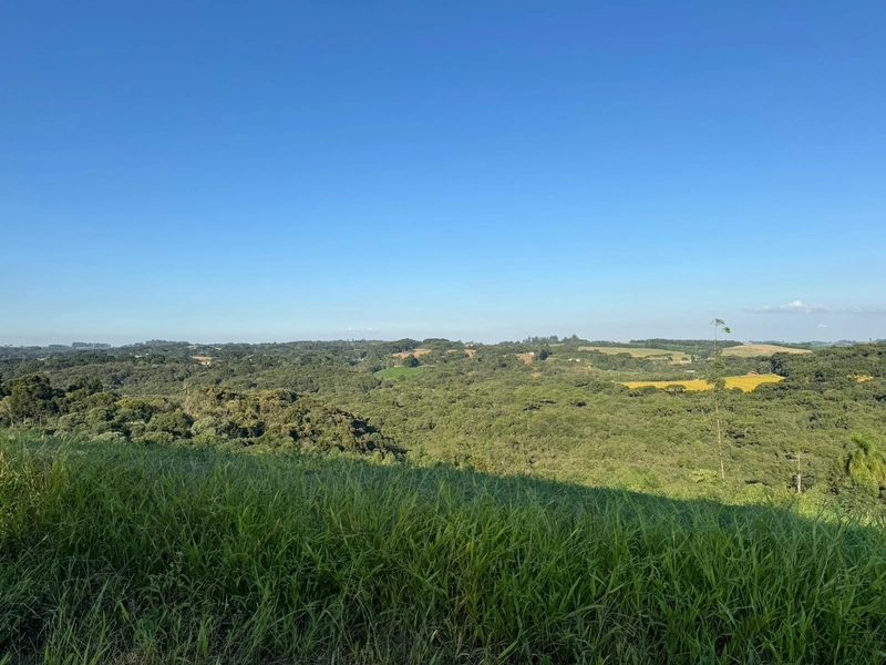 Terrenos para formação de Chácaras no Rodeio Sto Antonio: 3ª foto da galeria de imagens do imóvel