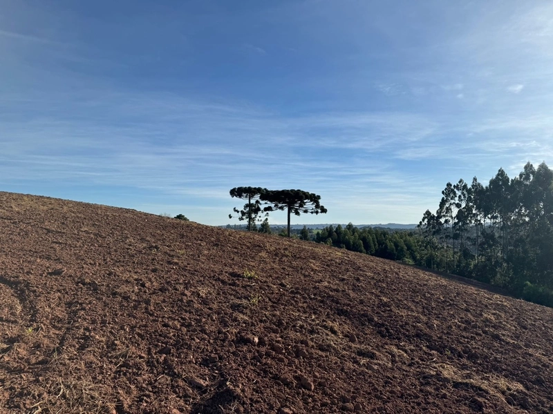 Terrenos para formação de Chácaras no Rodeio Sto Antonio: 16ª foto da galeria de imagens do imóvel