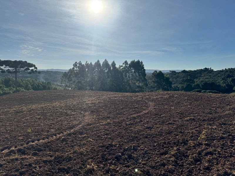 Terrenos para formação de Chácaras no Rodeio Sto Antonio: 11ª foto da galeria de imagens do imóvel