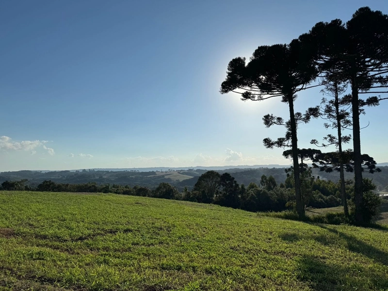 Terrenos para formação de Chácaras no Rodeio Sto Antonio: 24ª foto da galeria de imagens do imóvel