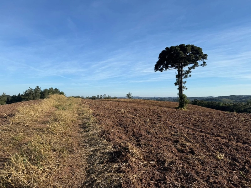 Terrenos para formação de Chácaras no Rodeio Sto Antonio: 15ª foto da galeria de imagens do imóvel