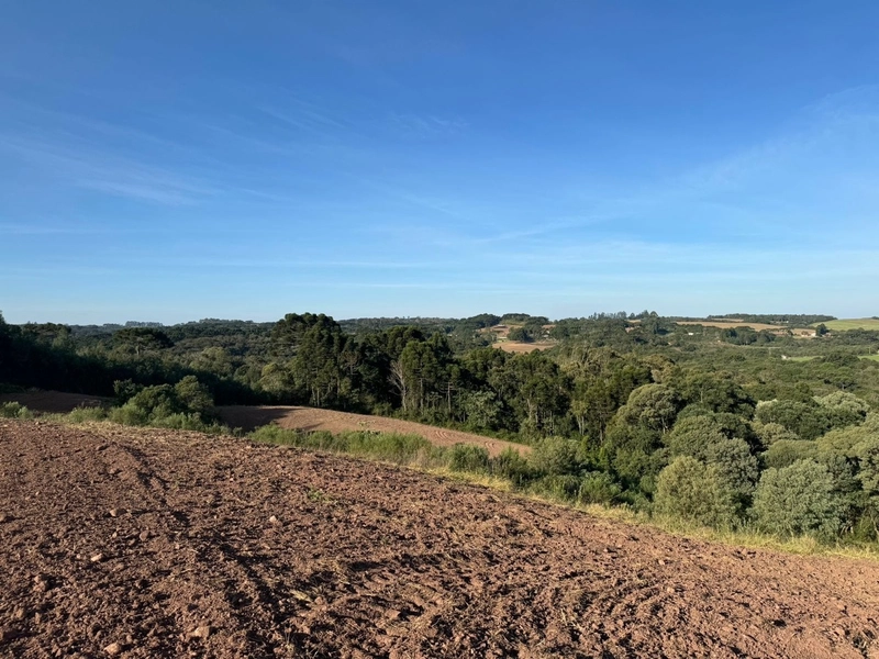 Terrenos para formação de Chácaras no Rodeio Sto Antonio: 19ª foto da galeria de imagens do imóvel