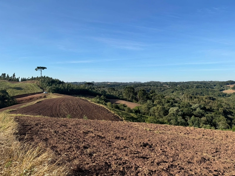 Terrenos para formação de Chácaras no Rodeio Sto Antonio: 14ª foto da galeria de imagens do imóvel