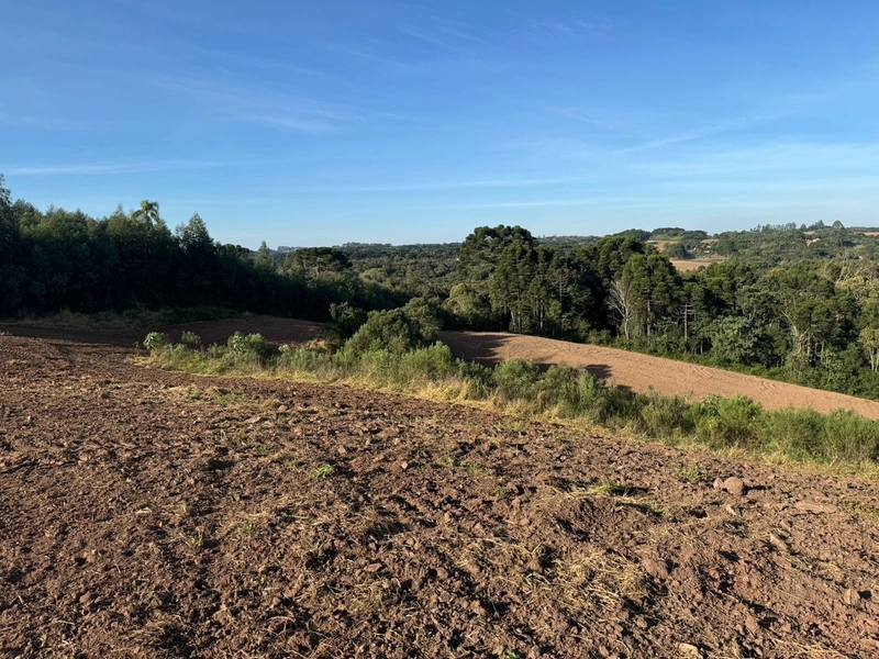 Terrenos para formação de Chácaras no Rodeio Sto Antonio: 21ª foto da galeria de imagens do imóvel