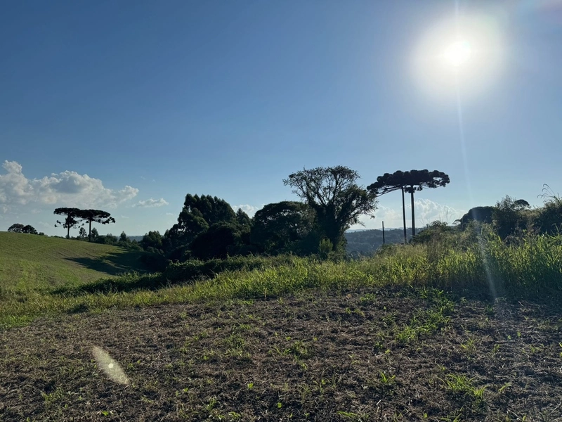 Terrenos para formação de Chácaras no Rodeio Sto Antonio: 8ª foto da galeria de imagens do imóvel