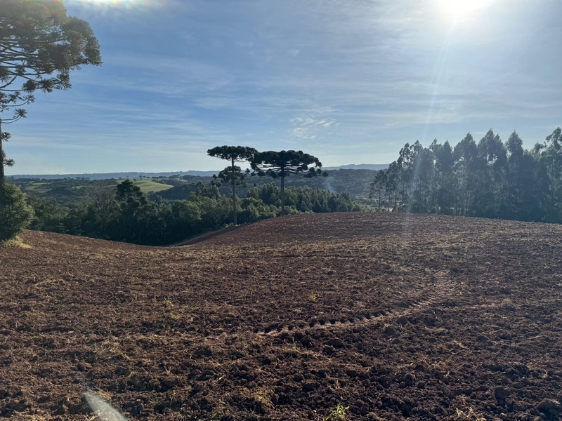 Terrenos para formação de Chácaras no Rodeio Sto Antonio: 12ª foto da galeria de imagens do imóvel