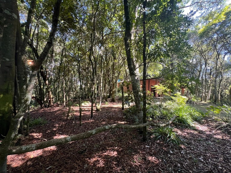 Linda Chácara à Venda!: 18ª foto da galeria de imagens do imóvel