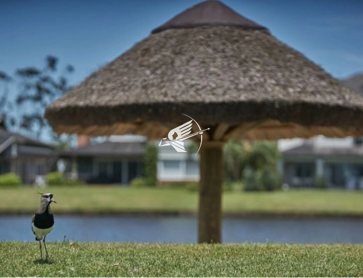 11ª foto do condomínio
