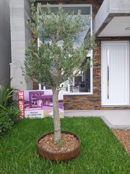 CASA nova no SANTORINI - Bairro Planejado, Xangrilá: 12ª foto da galeria de imagens do imóvel
