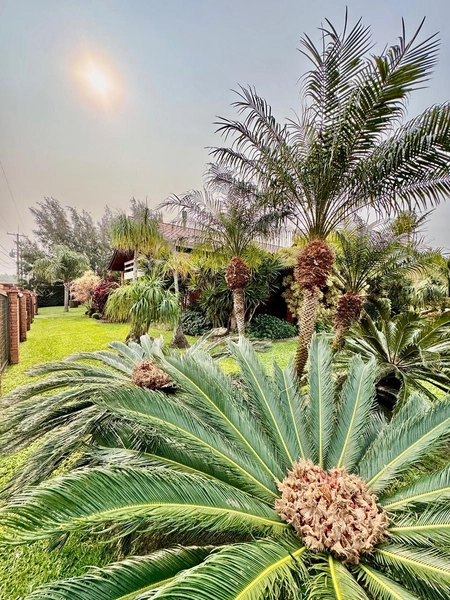 Casa a venda !!: 28ª foto da galeria de imagens do imóvel