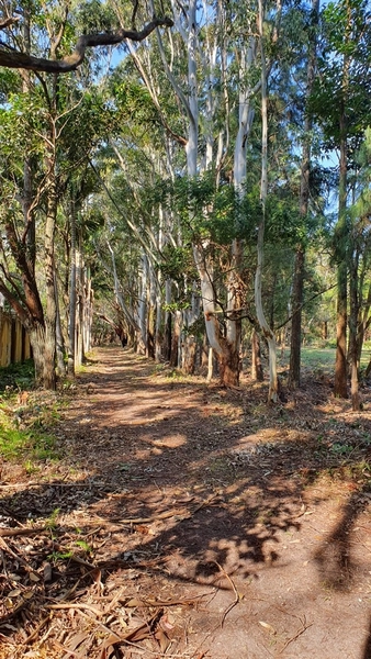 Casa no Condomínio amaná  a venda ! : 7ª foto da galeria de imagens do imóvel