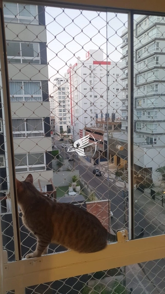 Apartamento á venda em Capão da Canoa: 9ª foto da galeria de imagens do imóvel