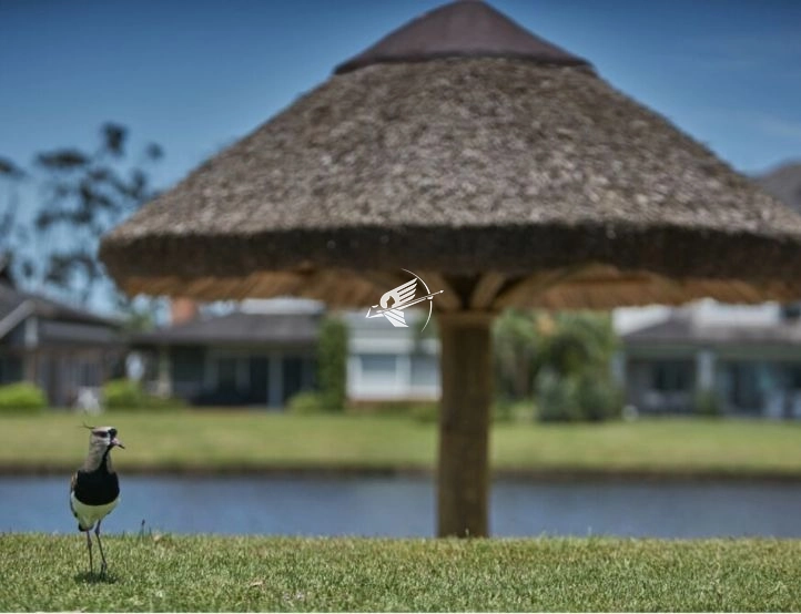 Terreno á venda no condomínio Bosques de Atlântida: 11ª foto da galeria de imagens do imóvel