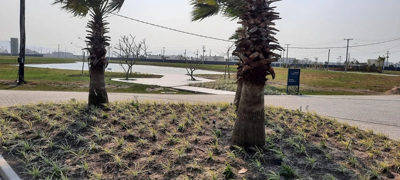 Lote/Terreno beira lago no condomínio Zen Concept Resort : 14ª foto da galeria de imagens do imóvel