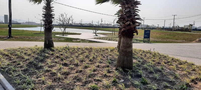 Lote/Terreno beira lago no condomínio Zen Concept Resort : 13ª foto da galeria de imagens do imóvel