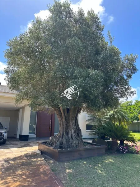 Casa à venda no Condomínio Bosques de Atlântida: 41ª foto da galeria de imagens do imóvel