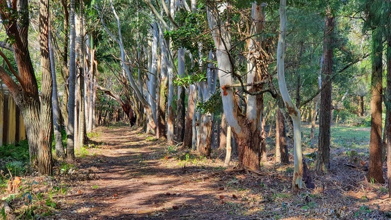 Condomínio amaná  a venda ! : 3ª foto da galeria de imagens do imóvel