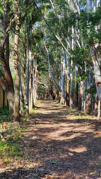 Casa no condomínio amaná a venda ! : 8ª foto da galeria de imagens do imóvel