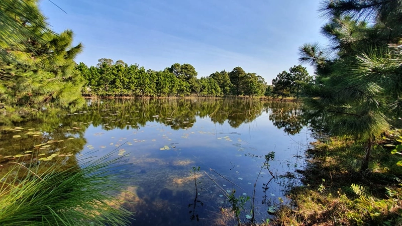 Casa no condomínio amaná a venda ! : 7ª foto da galeria de imagens do imóvel