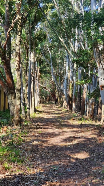 Casa no condomínio amaná a venda ! : 2ª foto da galeria de imagens do imóvel