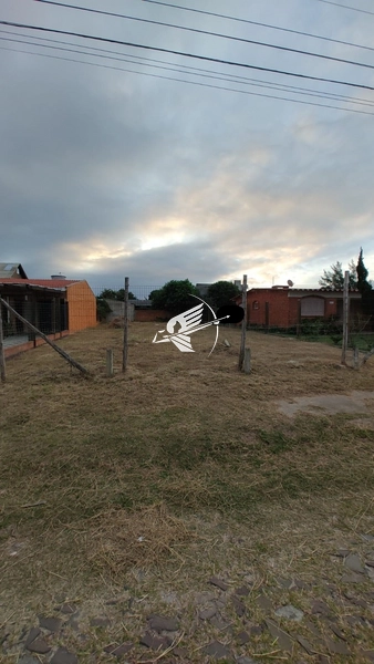 Terreno á venda em Xangri-lá: 2ª foto da galeria de imagens do imóvel