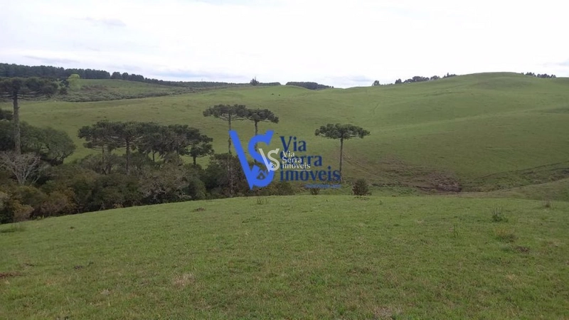 Sítio à venda, em São Francisco de Paula/RS!: 2ª foto da galeria de imagens do imóvel