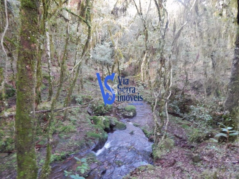 Sítio à venda, em São Francisco de Paula/RS!: 14ª foto da galeria de imagens do imóvel