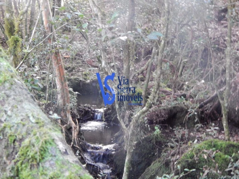 Sítio à venda, em São Francisco de Paula/RS!: 12ª foto da galeria de imagens do imóvel