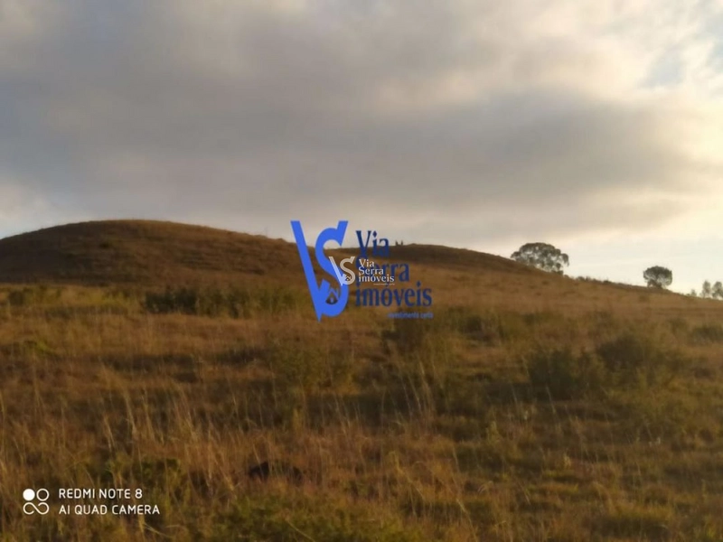 Sítio à venda, em São Francisco de Paula/RS!: 3ª foto da galeria de imagens do imóvel