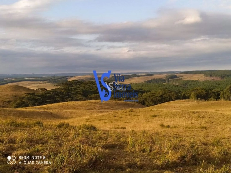Sítio à venda, em São Francisco de Paula/RS!: 5ª foto da galeria de imagens do imóvel