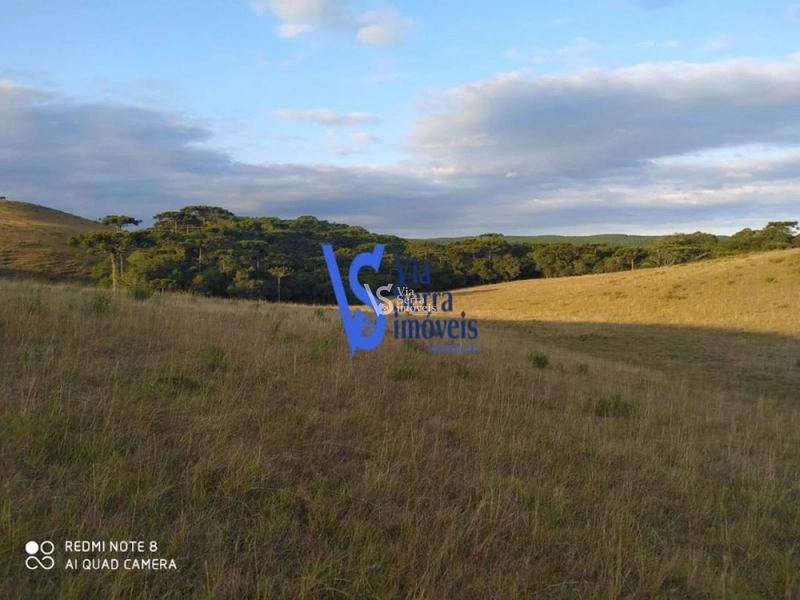 Sítio à venda, em São Francisco de Paula/RS!: 1ª foto da galeria de imagens do imóvel