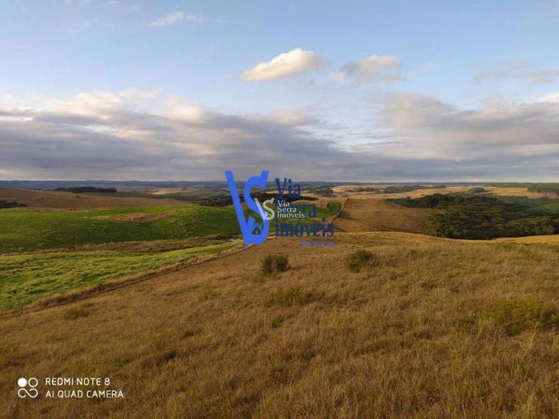 Sítio à venda, em São Francisco de Paula/RS!: 16ª foto da galeria de imagens do imóvel