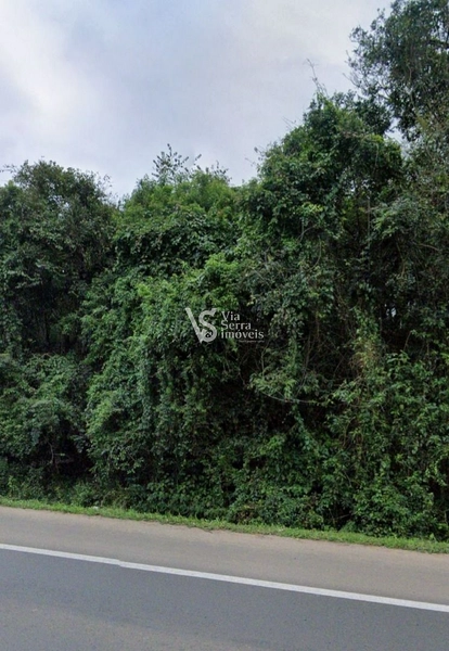 Terreno em Igrejinha/RS!: 8ª foto da galeria de imagens do imóvel