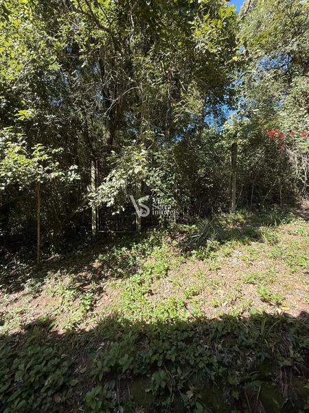 Terreno em Igrejinha/RS!: 5ª foto da galeria de imagens do imóvel