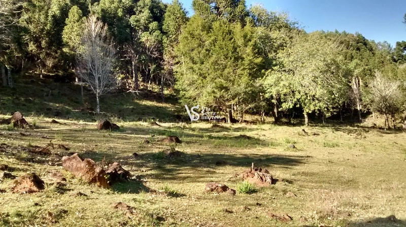 Belíssimo Sítio a 9km do Centro de Canela/RS!: 2ª foto da galeria de imagens do imóvel